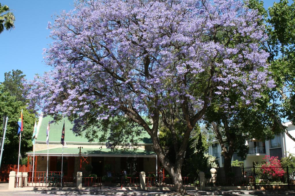 88 Baron Van Reede Guesthouse Oudtshoorn Exterior foto